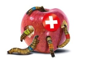 f24_apfel_fr_ohne_schnittzeichen_high--1-