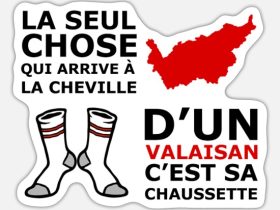 la-seul-chose-qui-arrive-a-la-cheville-dun-valais-autocollant